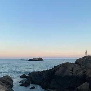 Meet your Posher, Ashleigh